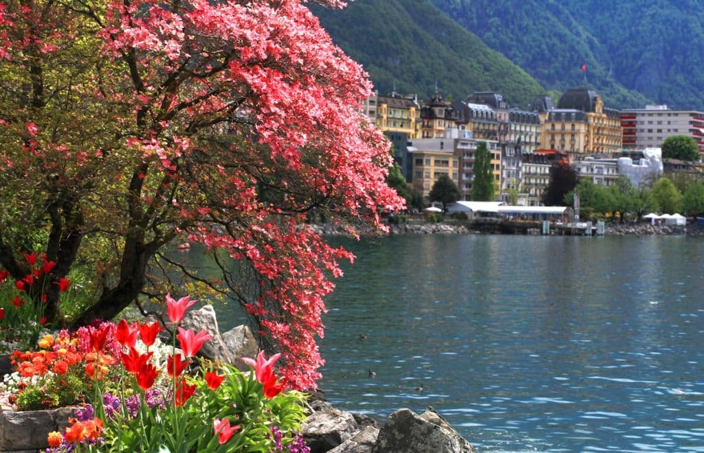 Lake Geneva