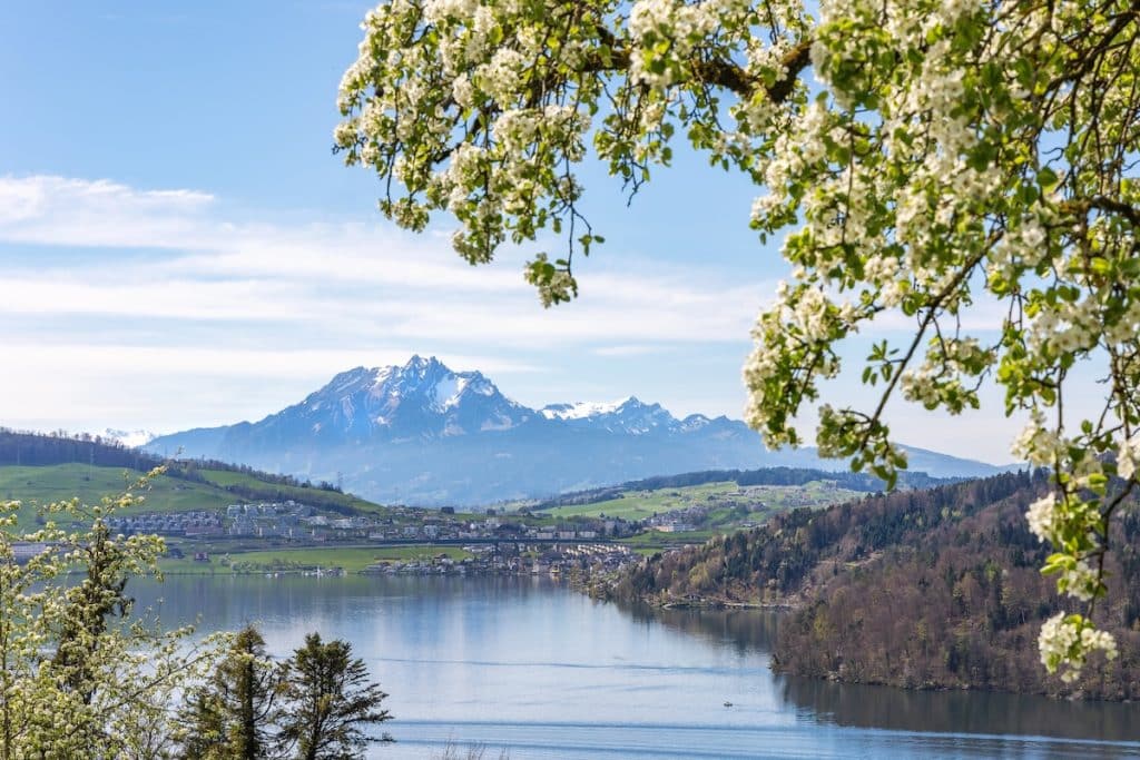 Lake of Zug